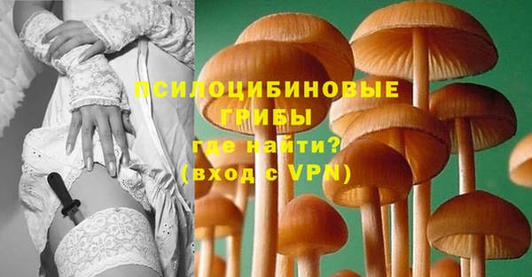 ешки Балахна