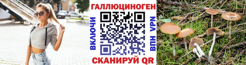 где найти наркотики Покровск Псилоцибиновые грибы Magic Shrooms